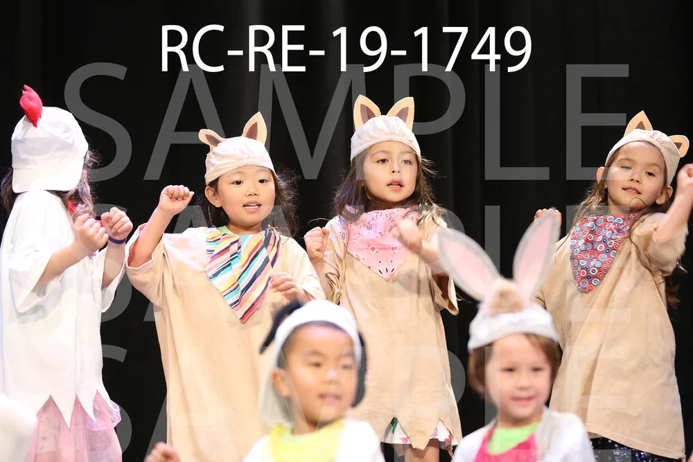 RC-RE-19-1749.jpg