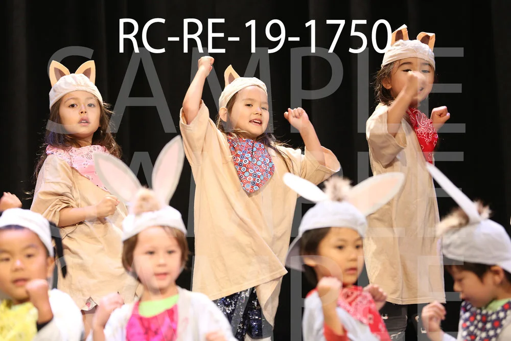 RC-RE-19-1750.jpg