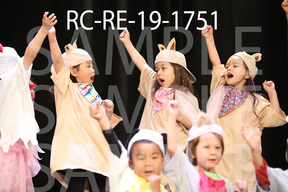 RC-RE-19-1751.jpg
