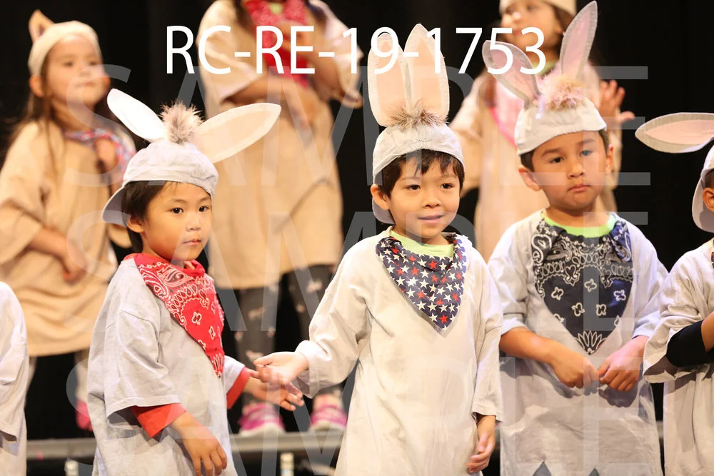 RC-RE-19-1753.jpg