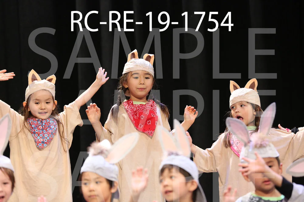 RC-RE-19-1754.jpg