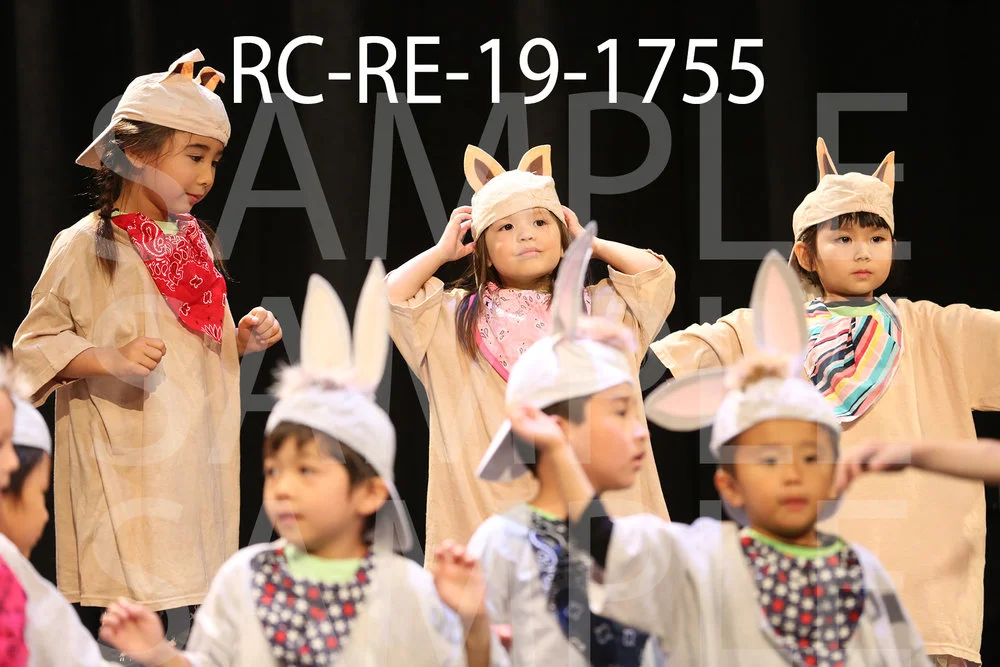 RC-RE-19-1755.jpg