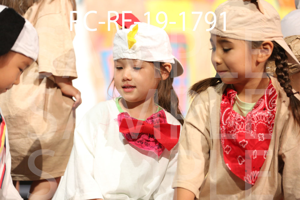 RC-RE-19-1791.jpg