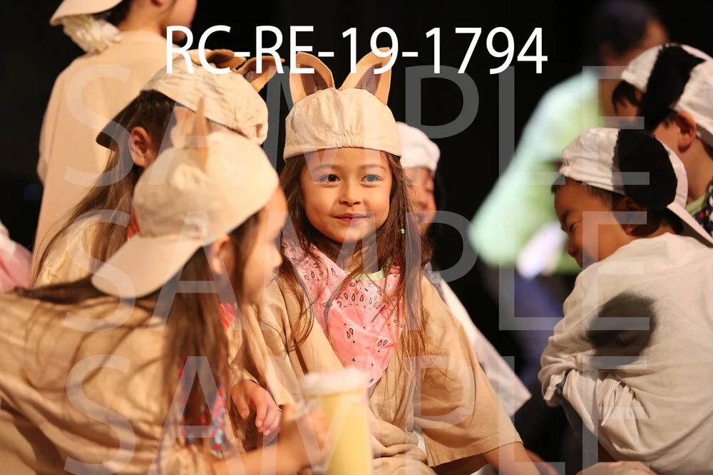 RC-RE-19-1794.jpg