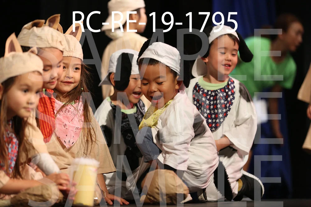 RC-RE-19-1795.jpg