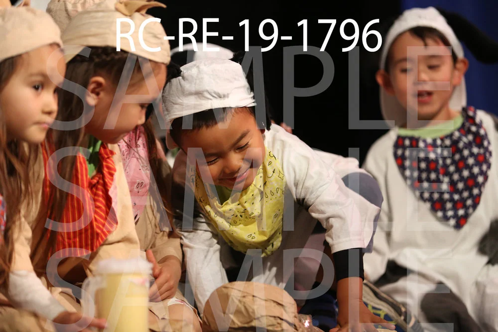 RC-RE-19-1796.jpg