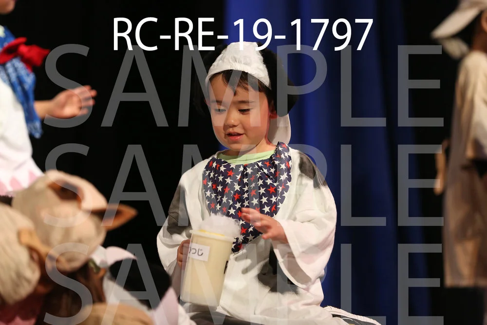 RC-RE-19-1797.jpg