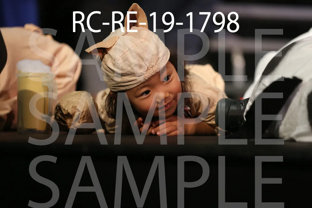 RC-RE-19-1798.jpg