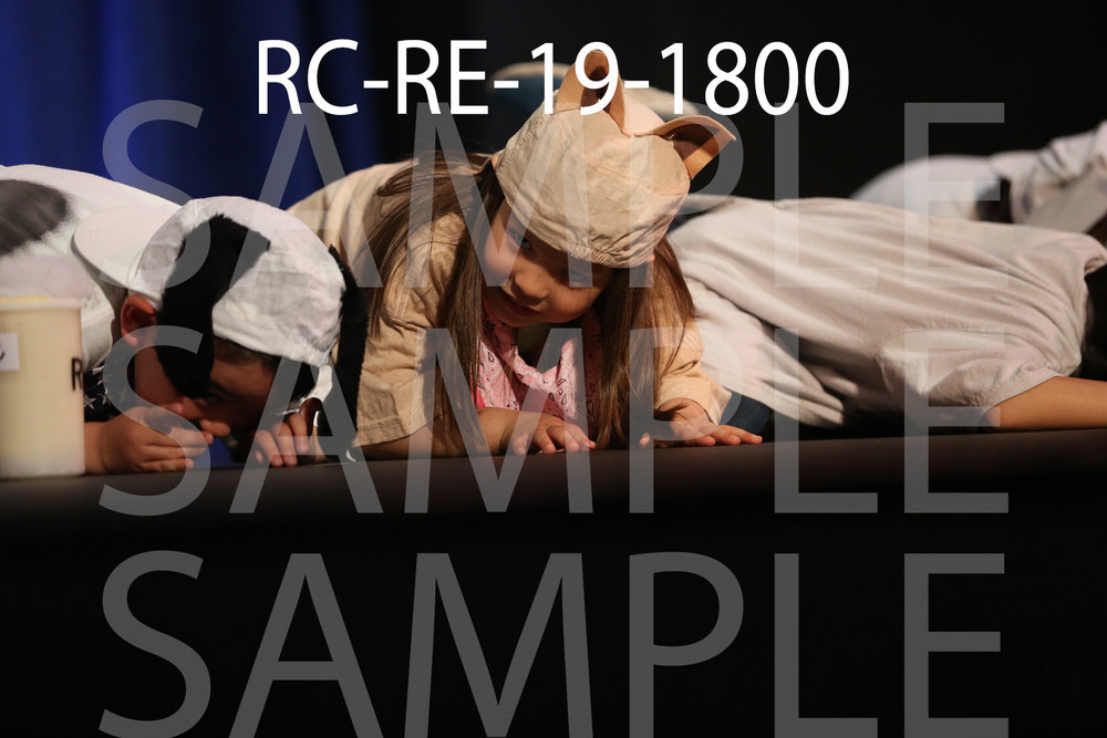RC-RE-19-1800.jpg