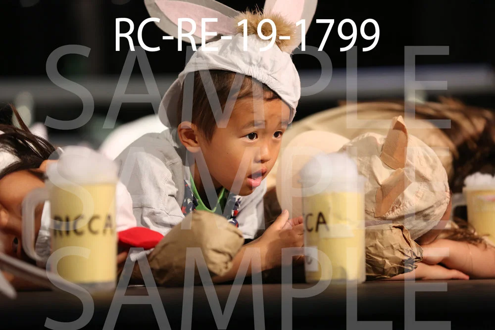 RC-RE-19-1799.jpg