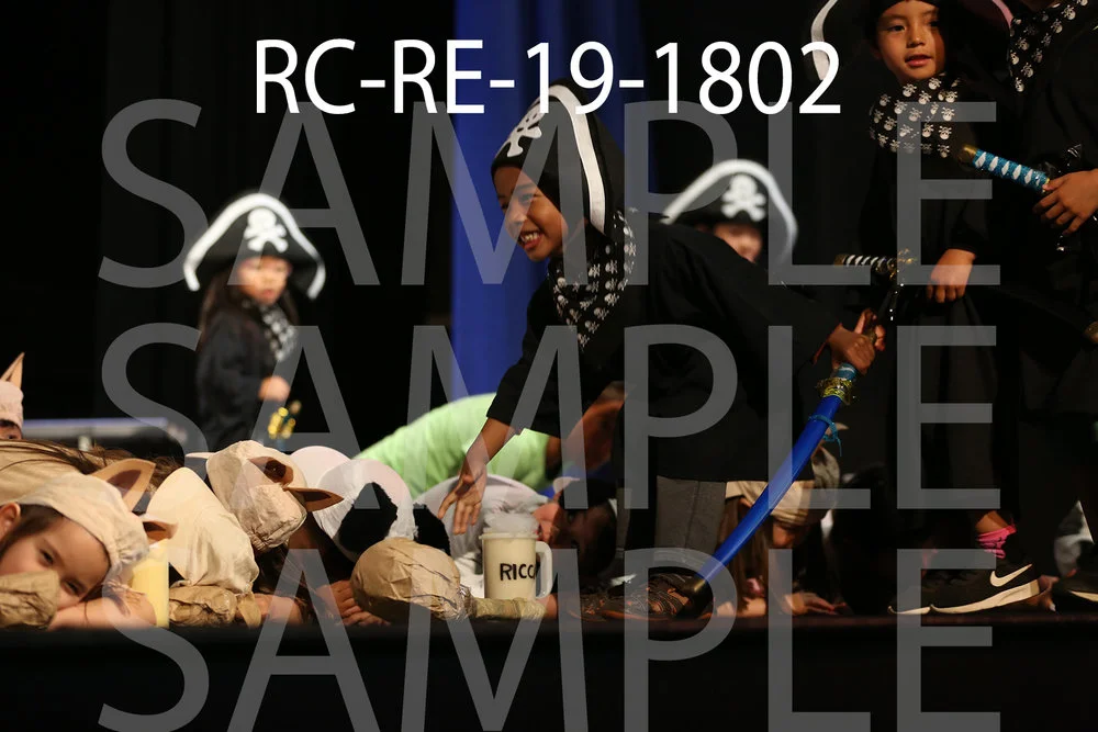 RC-RE-19-1802.jpg