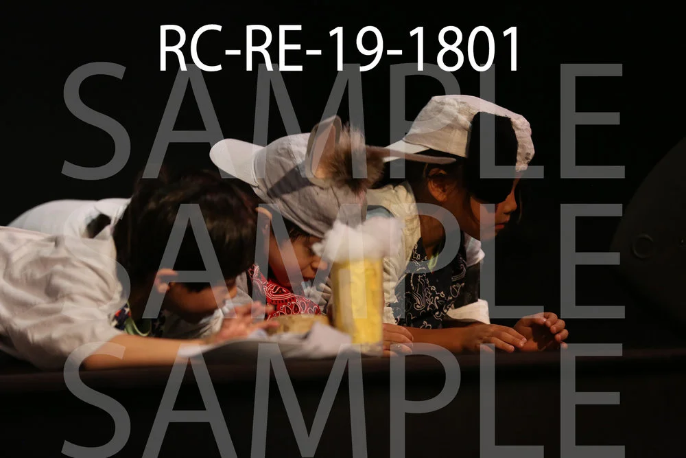 RC-RE-19-1801.jpg