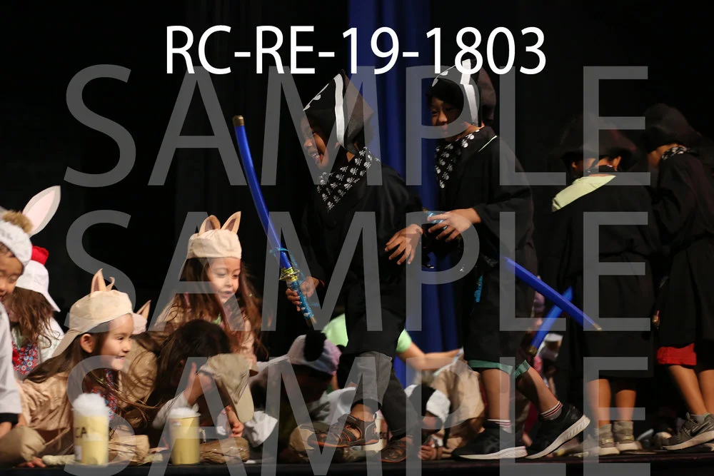 RC-RE-19-1803.jpg