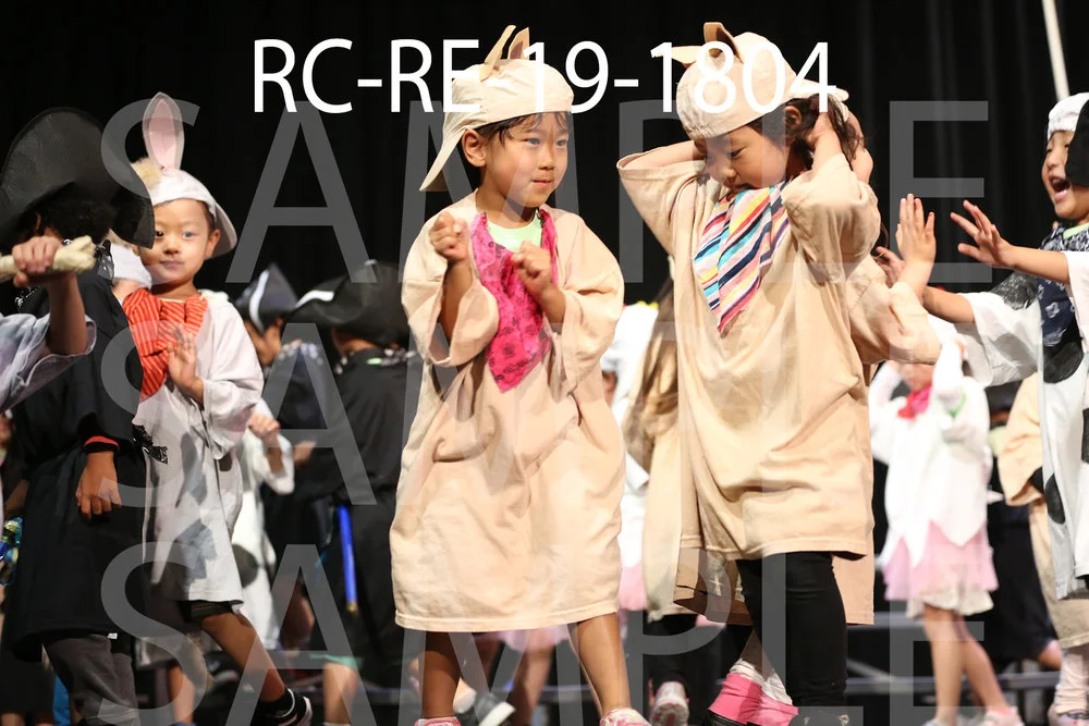 RC-RE-19-1804.jpg