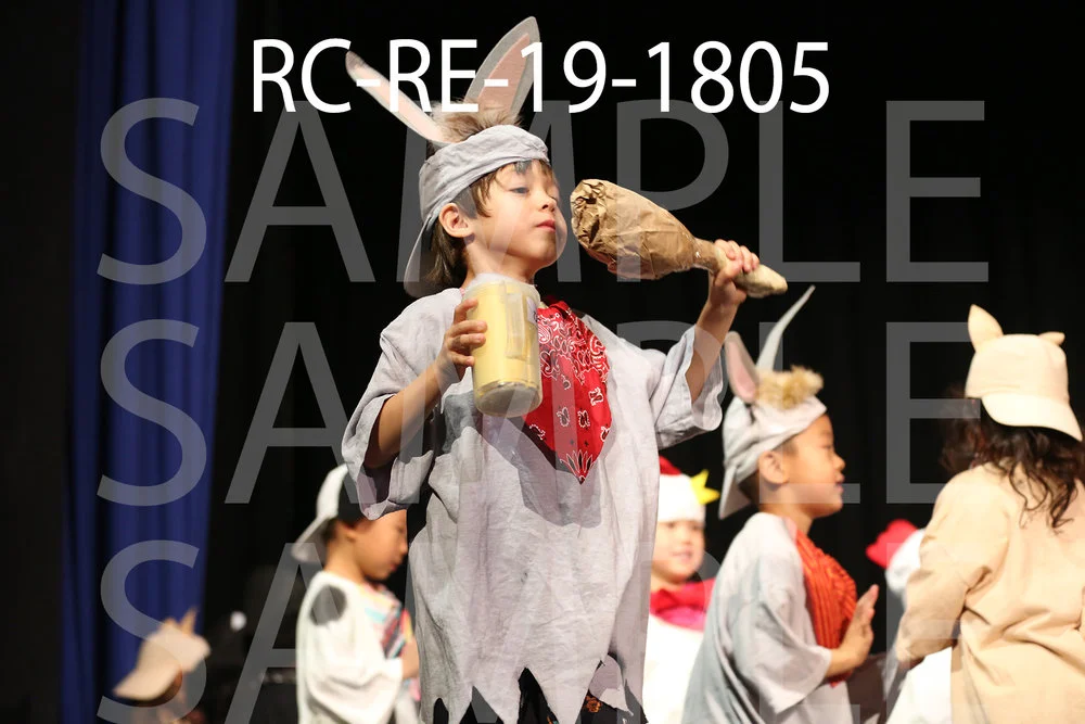 RC-RE-19-1805.jpg