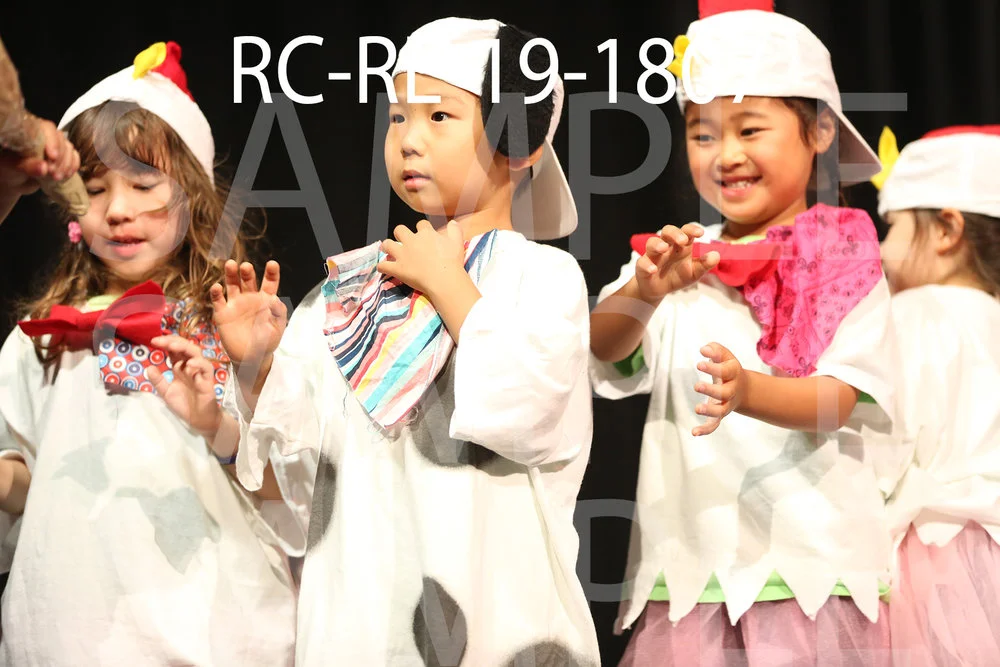 RC-RE-19-1807.jpg