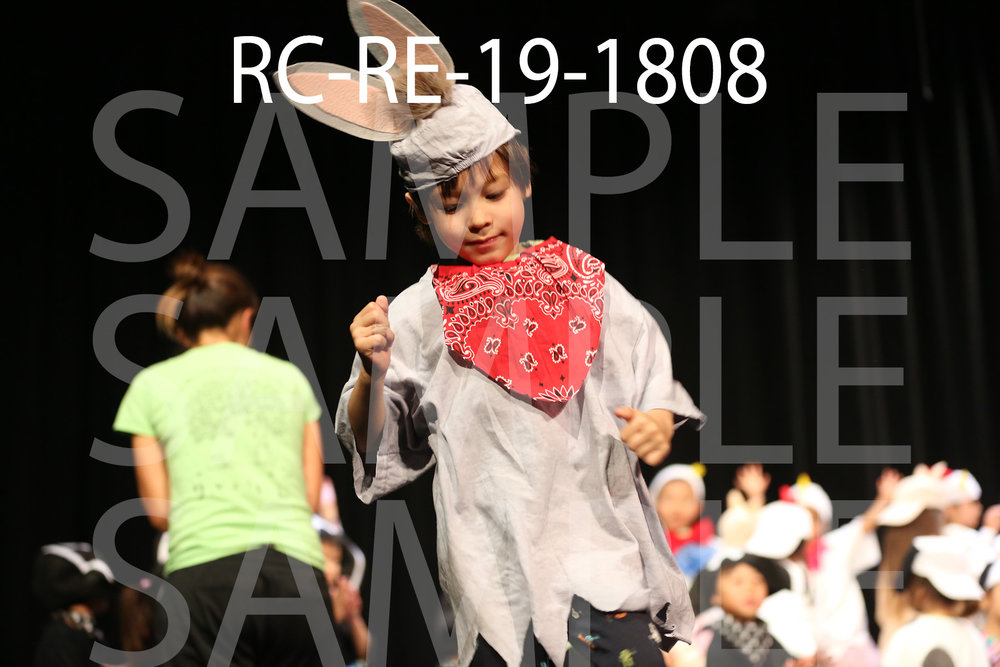 RC-RE-19-1808.jpg