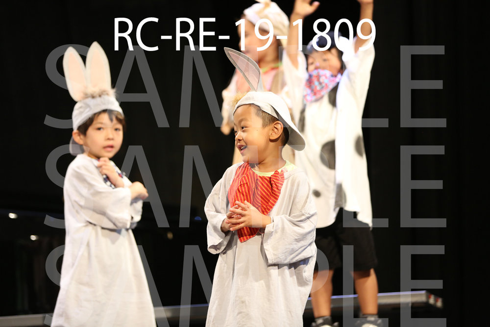 RC-RE-19-1809.jpg