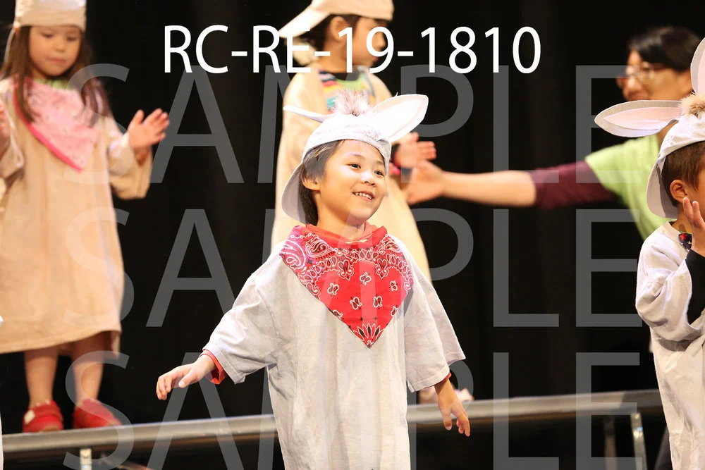 RC-RE-19-1810.jpg