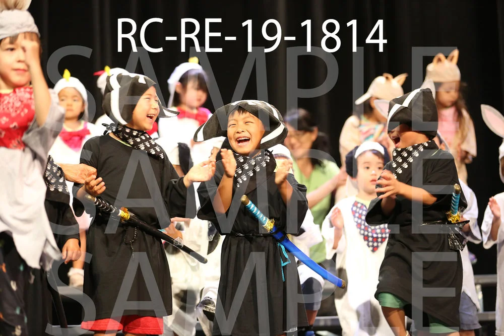 RC-RE-19-1814.jpg