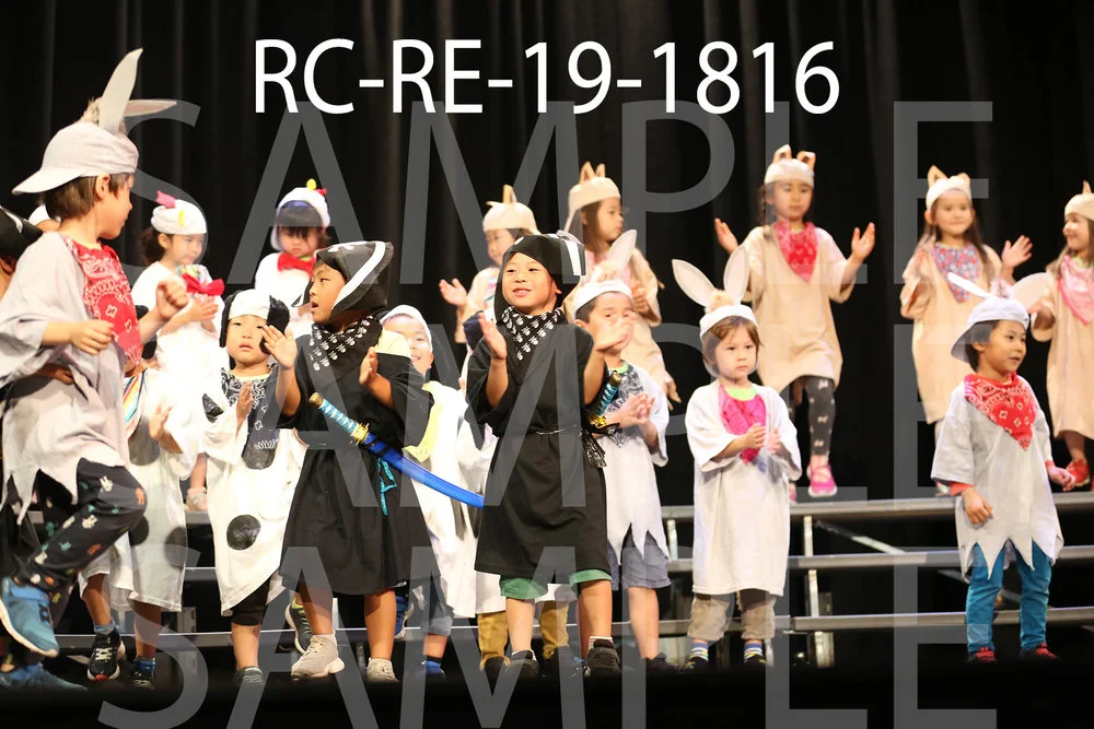 RC-RE-19-1816.jpg