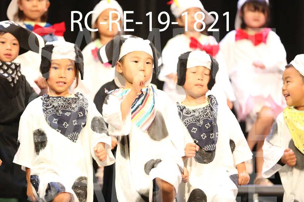 RC-RE-19-1821.jpg