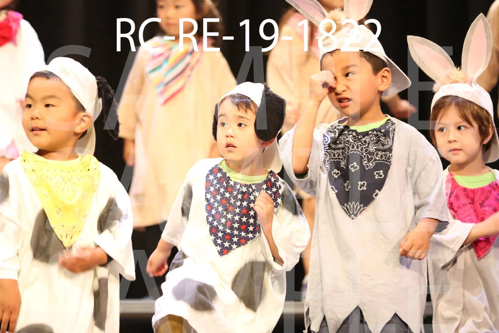 RC-RE-19-1822.jpg