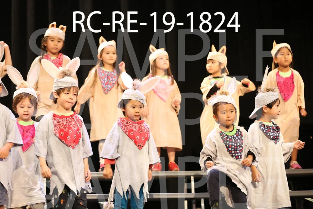 RC-RE-19-1824.jpg