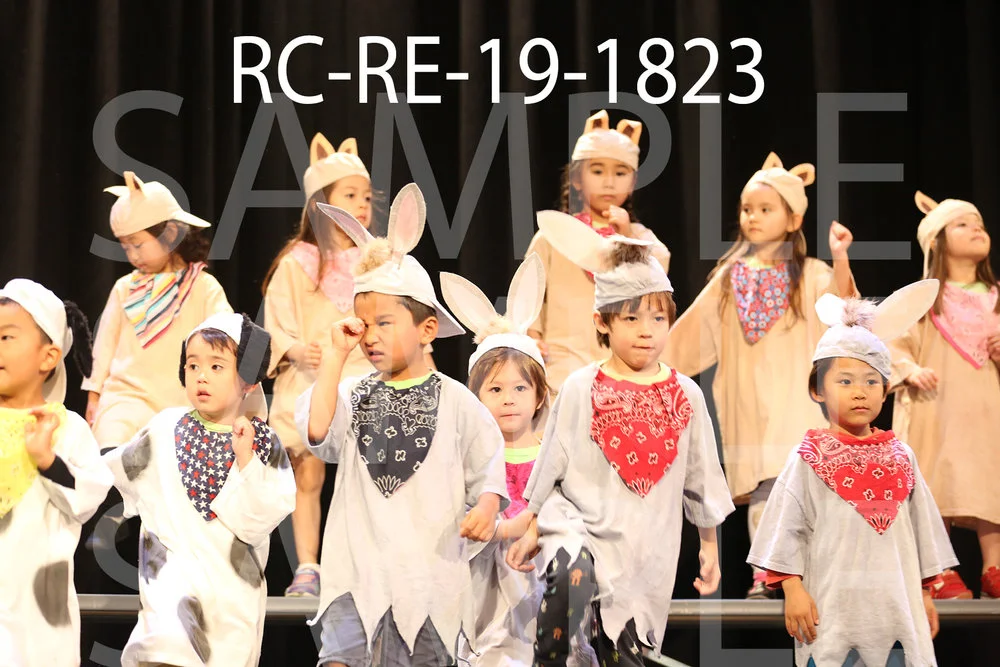 RC-RE-19-1823.jpg
