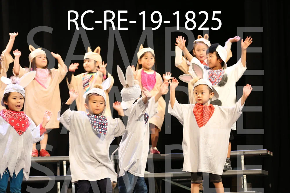 RC-RE-19-1825.jpg