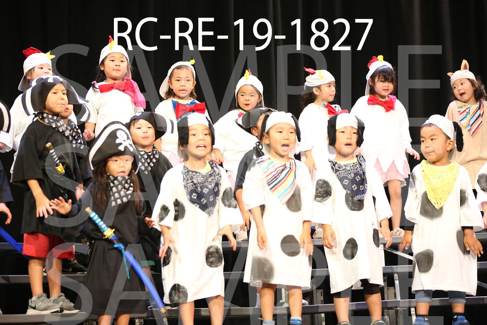 RC-RE-19-1827.jpg