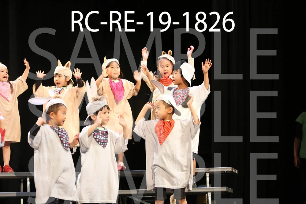 RC-RE-19-1826.jpg