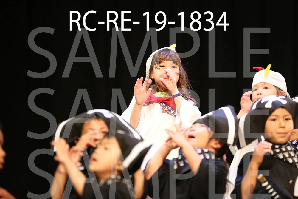 RC-RE-19-1834.jpg