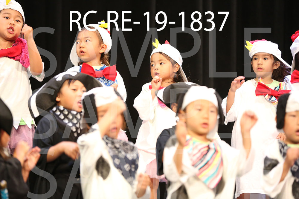 RC-RE-19-1837.jpg