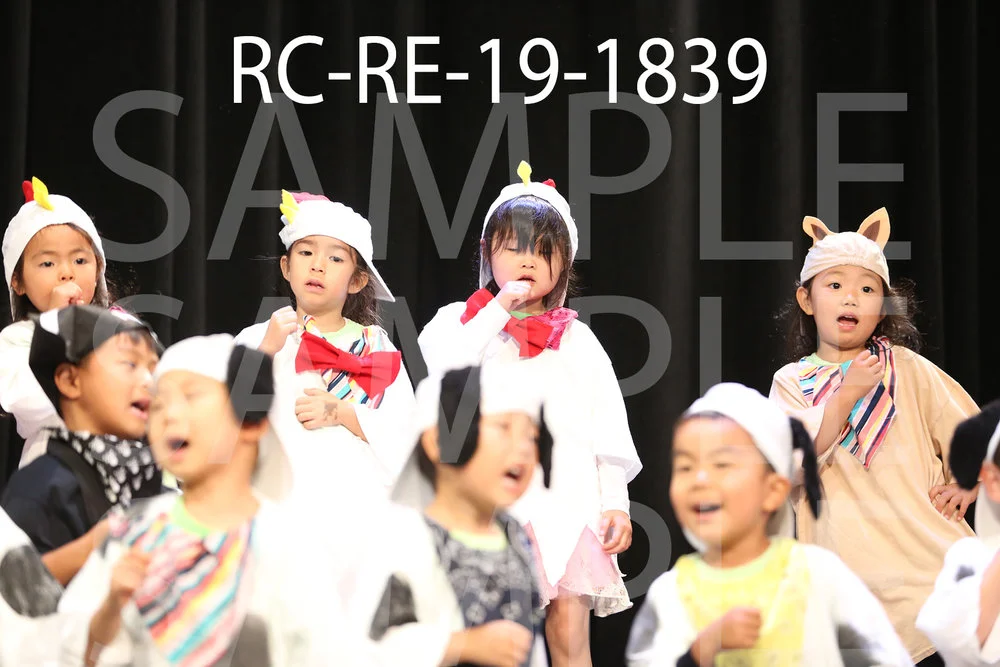 RC-RE-19-1839.jpg