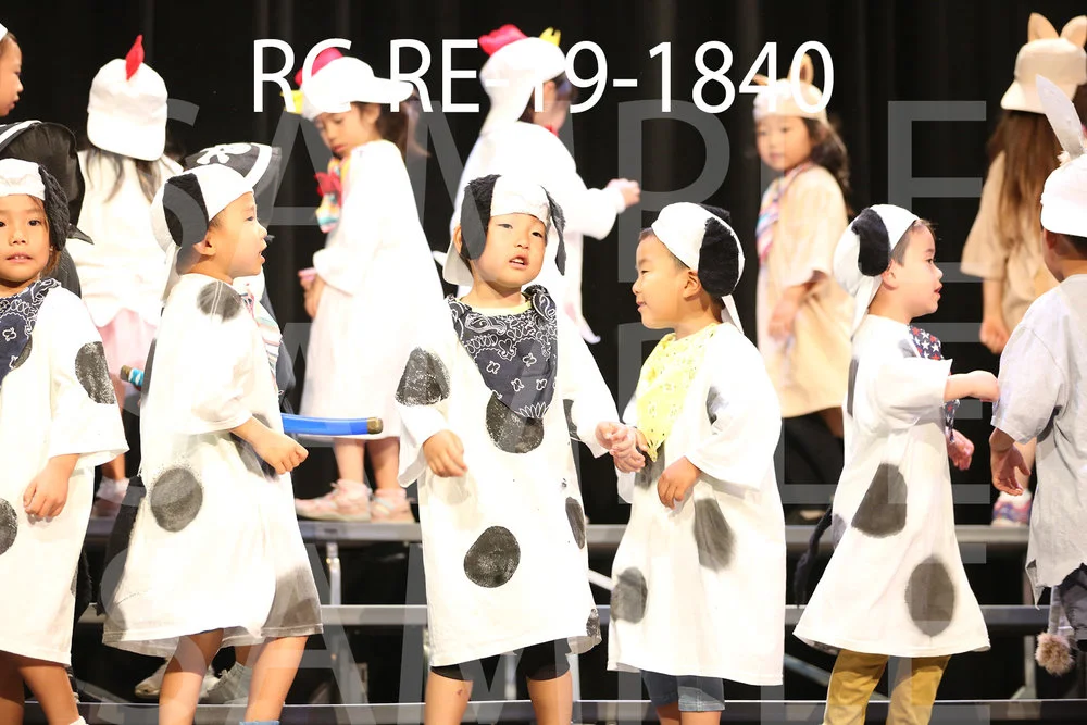 RC-RE-19-1840.jpg