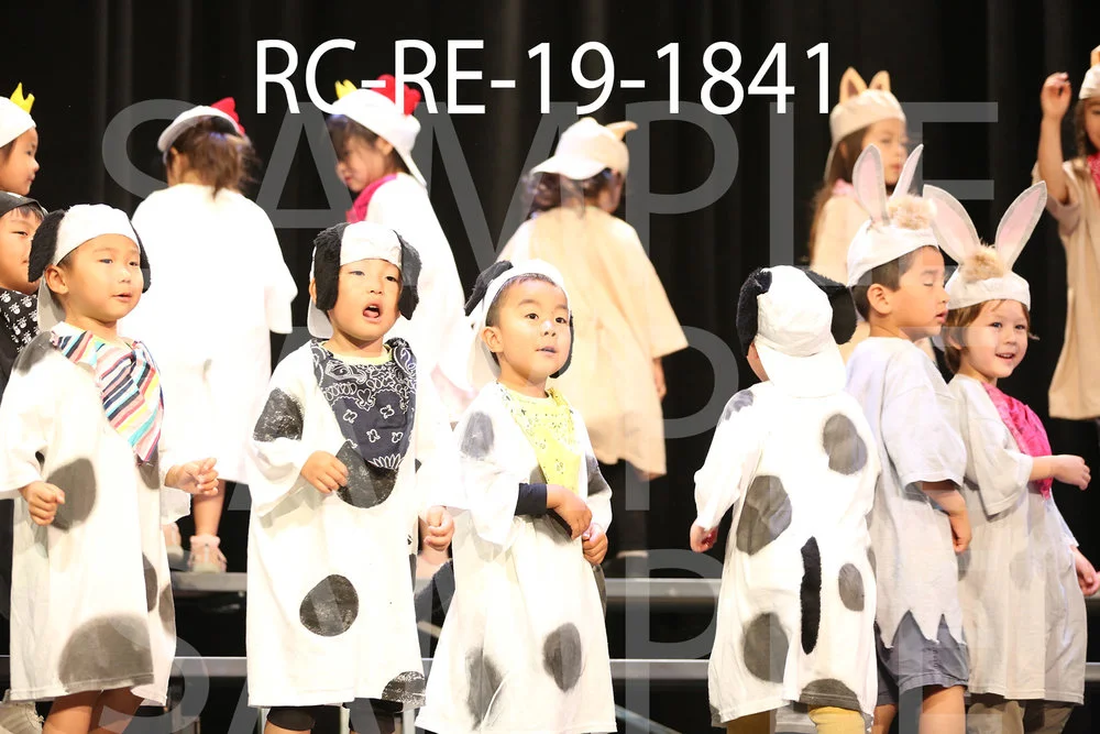 RC-RE-19-1841.jpg