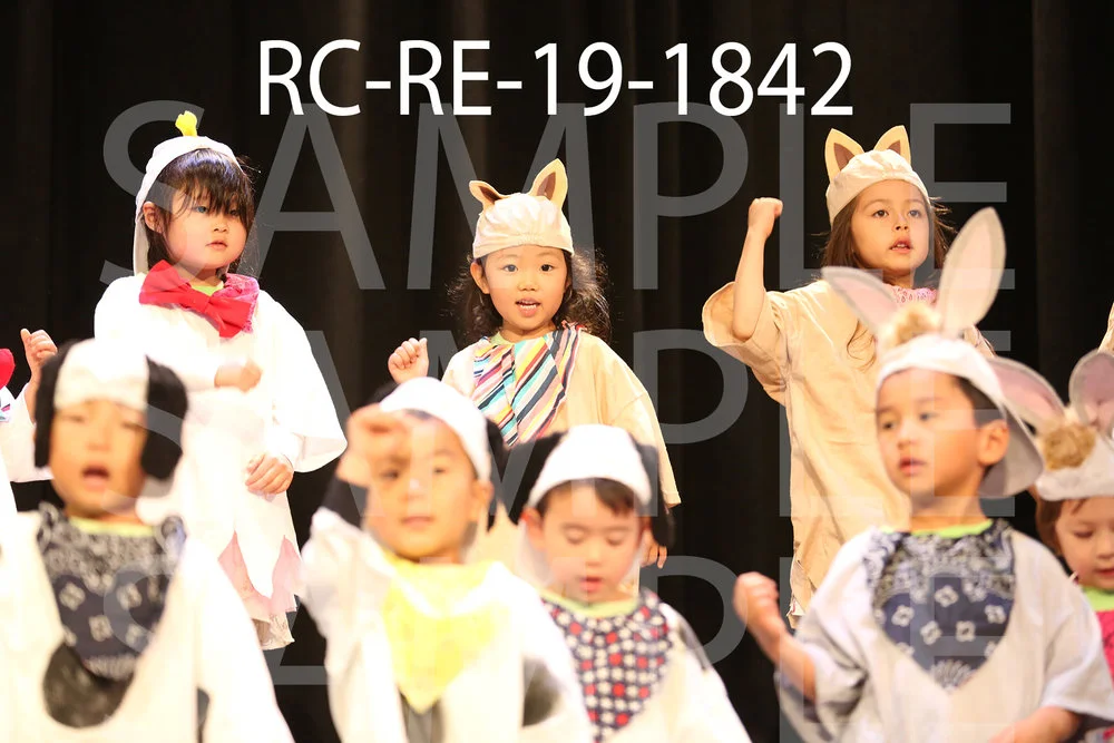 RC-RE-19-1842.jpg