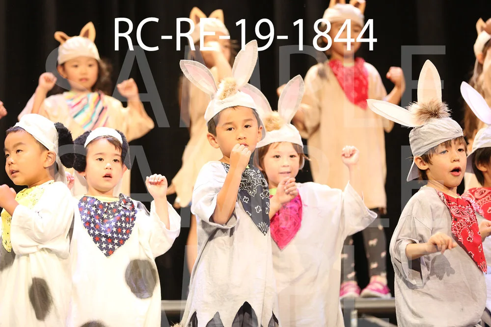 RC-RE-19-1844.jpg