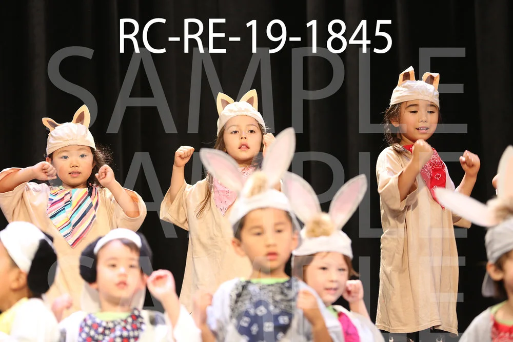 RC-RE-19-1845.jpg