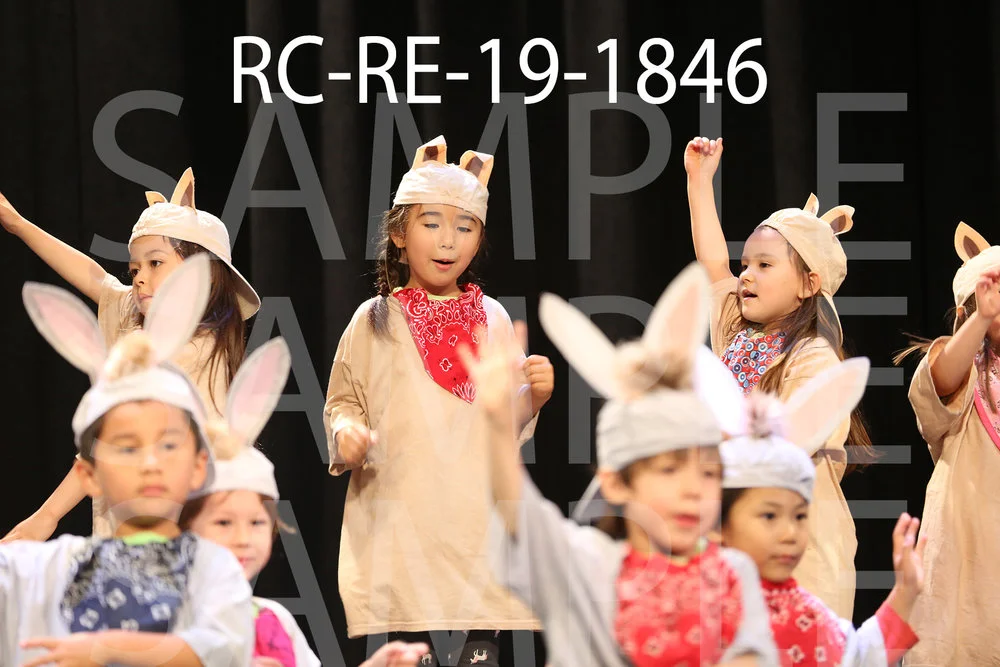 RC-RE-19-1846.jpg