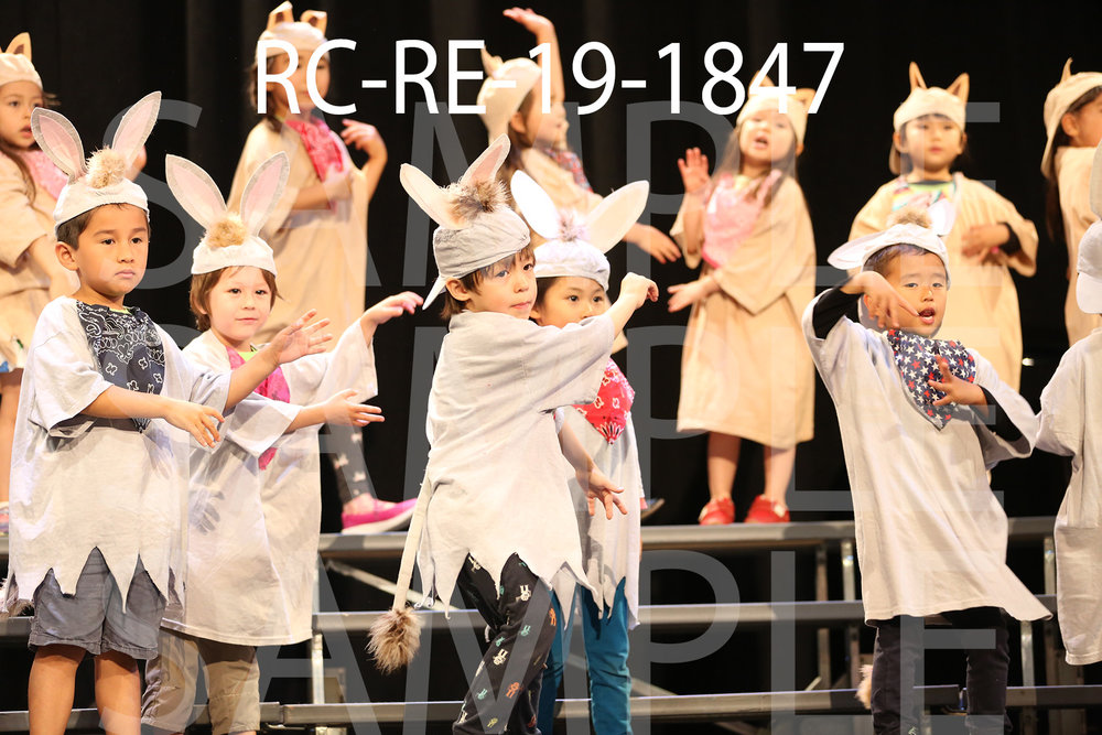 RC-RE-19-1847.jpg