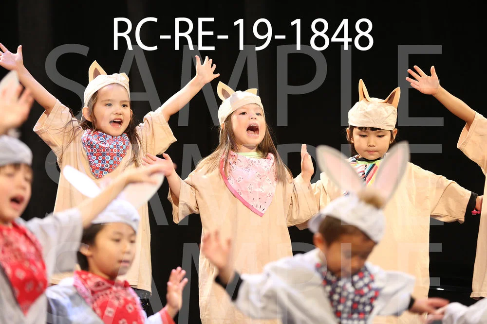 RC-RE-19-1848.jpg