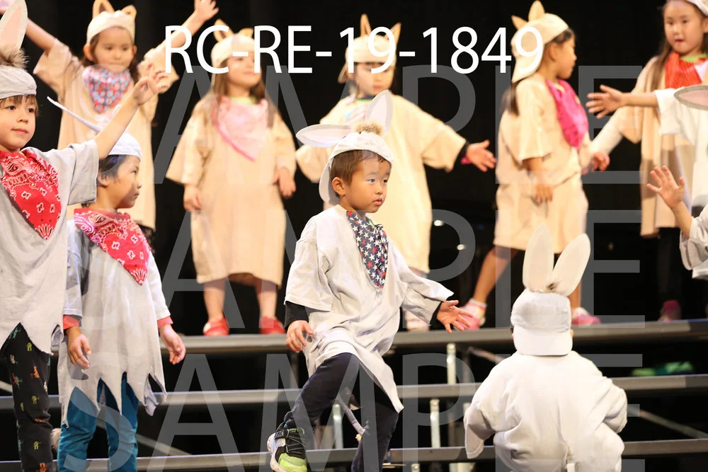 RC-RE-19-1849.jpg