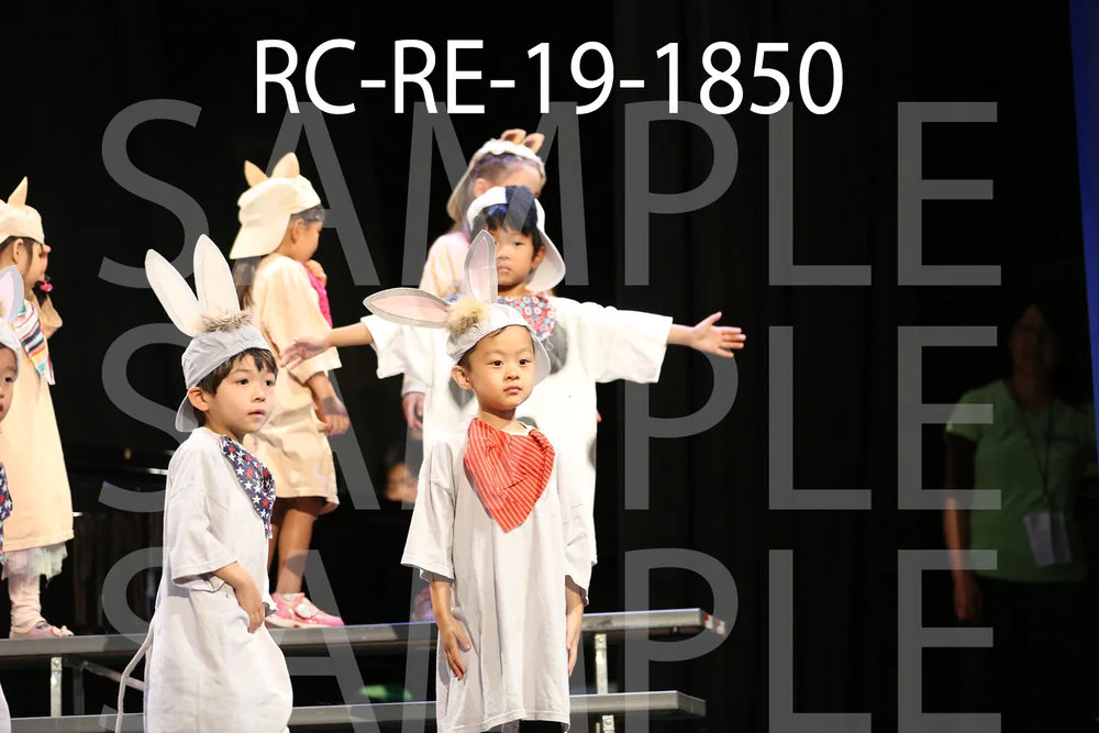 RC-RE-19-1850.jpg