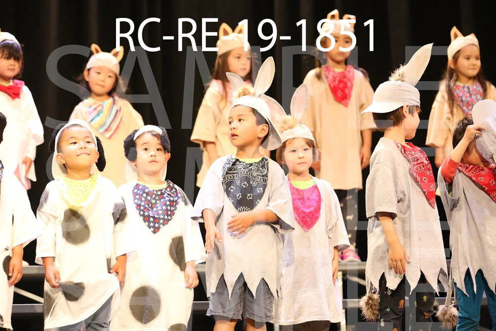 RC-RE-19-1851.jpg