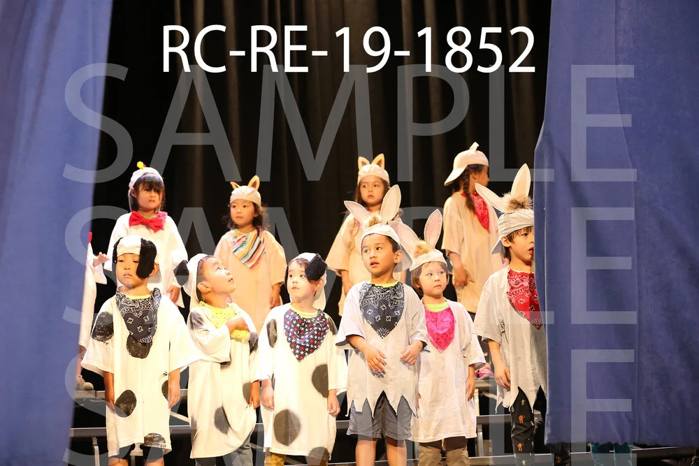 RC-RE-19-1852.jpg