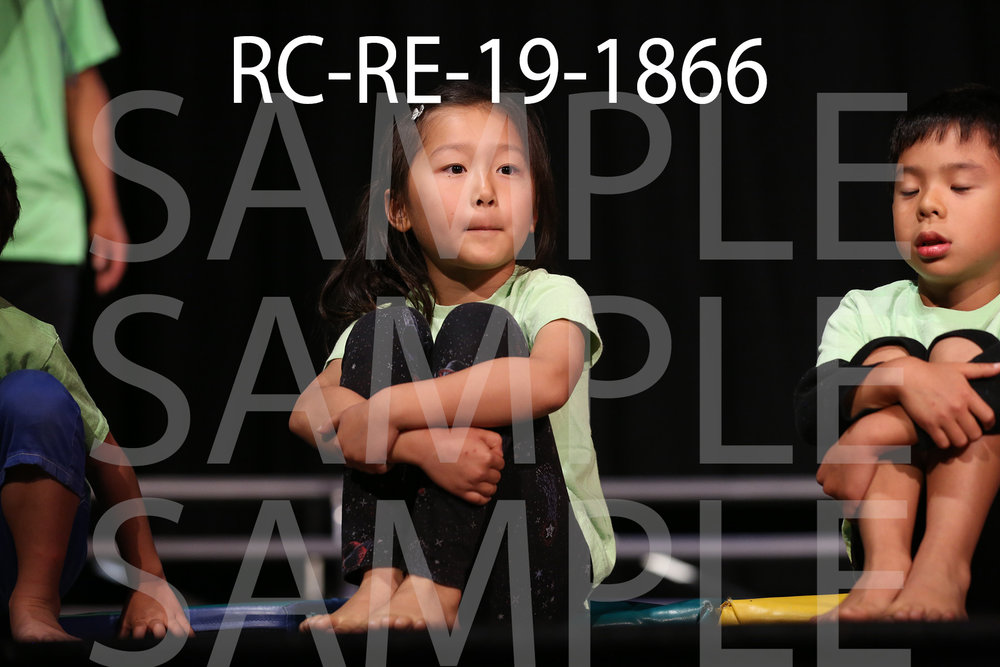 RC-RE-19-1866.jpg
