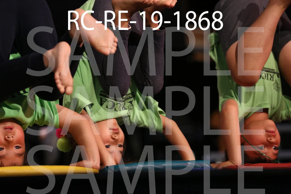 RC-RE-19-1868.jpg