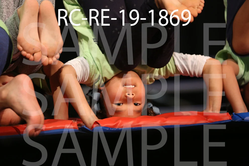 RC-RE-19-1869.jpg